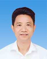 二級調研員 何林仔