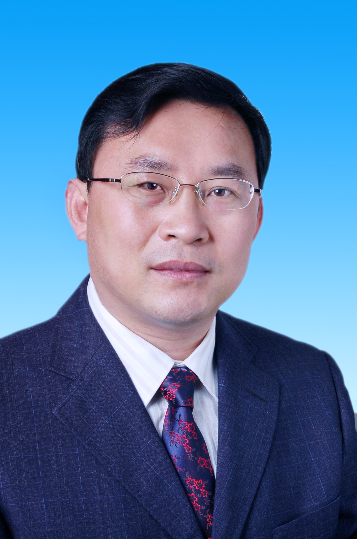 市委二級巡視員 何文