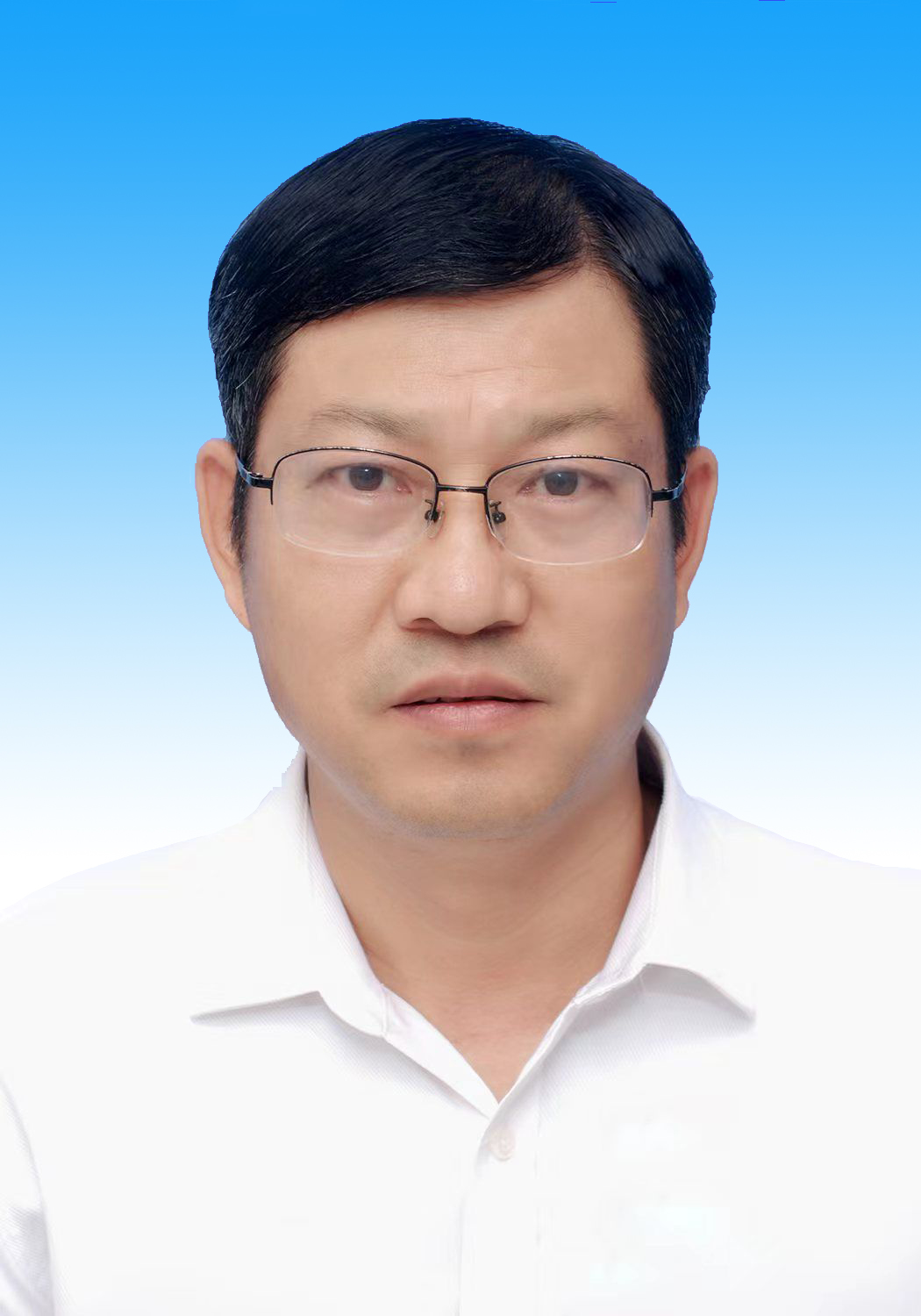副主席 王志華